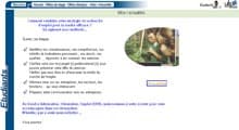 ULP Stage Emploi